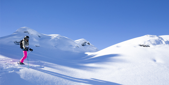 Shuttle resort La Plagne
