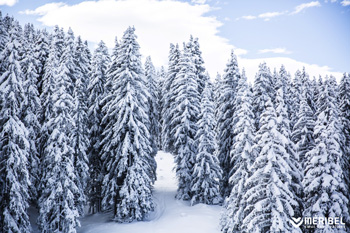 Méribel dispose d'un enneigement d'exception tout au long de l'hiver Enneigement Méribel