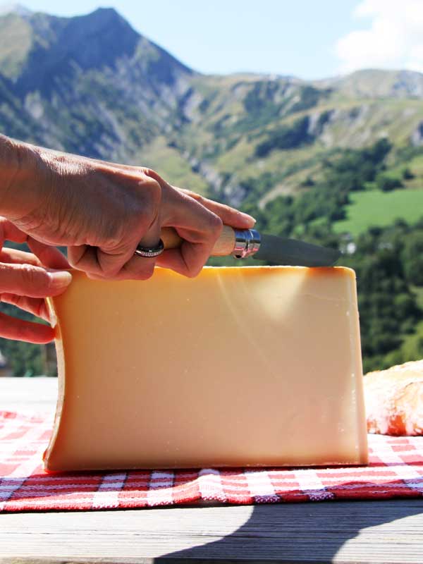 fromage vacances montagne